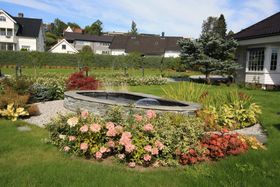 Hagedam med fontene og beplanting