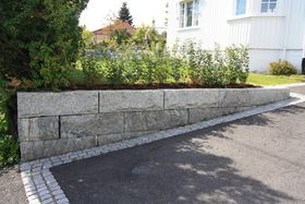 Brosteinsramme langs asfalten